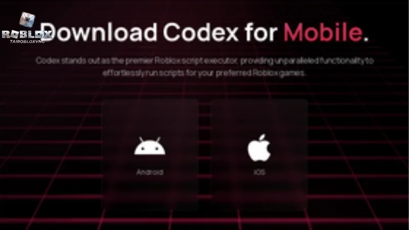 Hướng dẫn tải và cài đặt Codex Executor cho Android